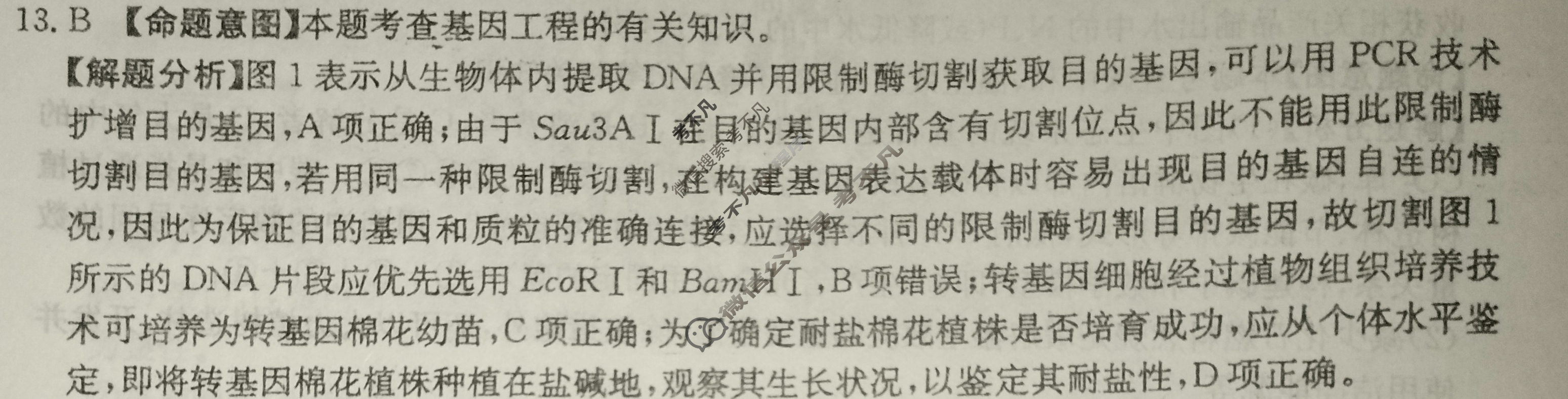 河北省2024年普通高中学业水平选择性考试·生物(五)5[24·(新高考)ZX·MNJ·生物·HEB]答案