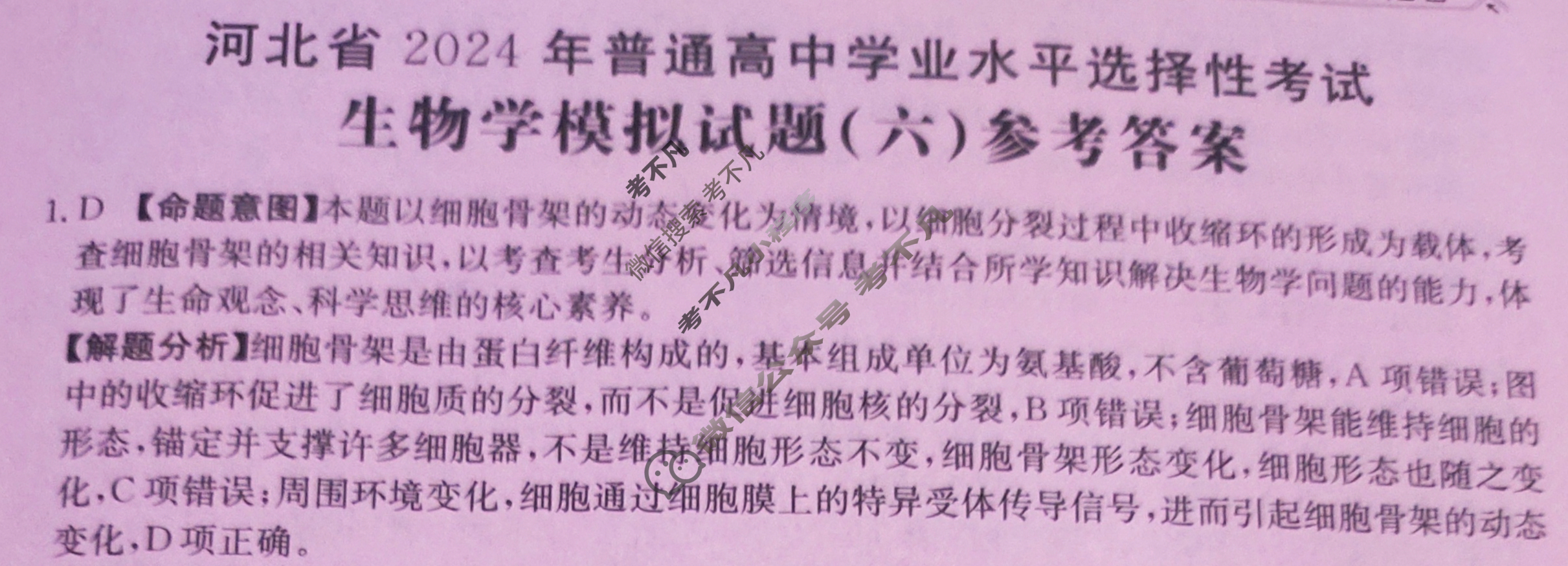 河北省2024年普通高中学业水平选择性考试·生物(六)6[24·(新高考)ZX·MNJ·生物·HEB]答案