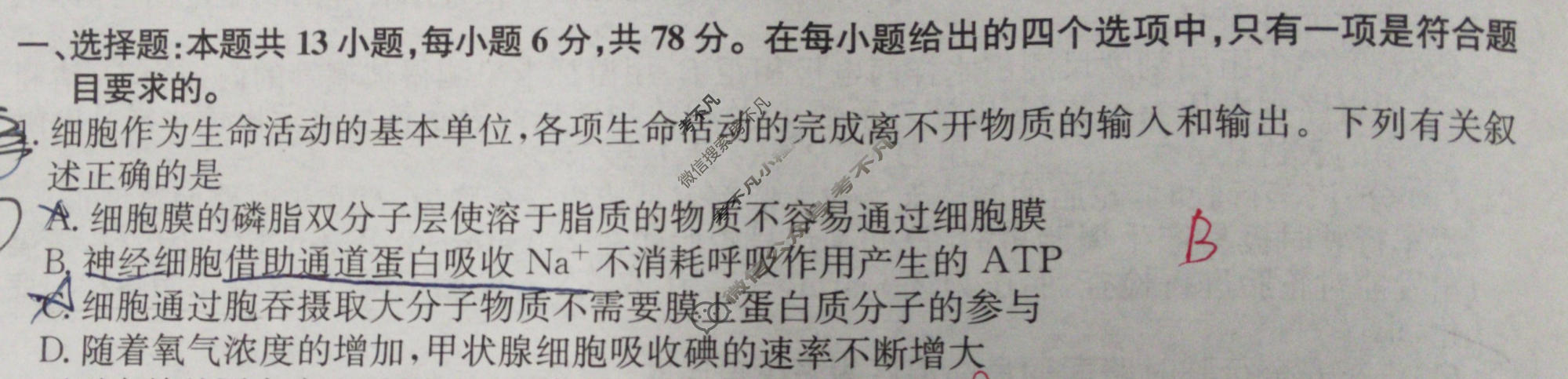 高三2024年全国高考冲刺压轴卷(一)1理科综合(新课标)试题