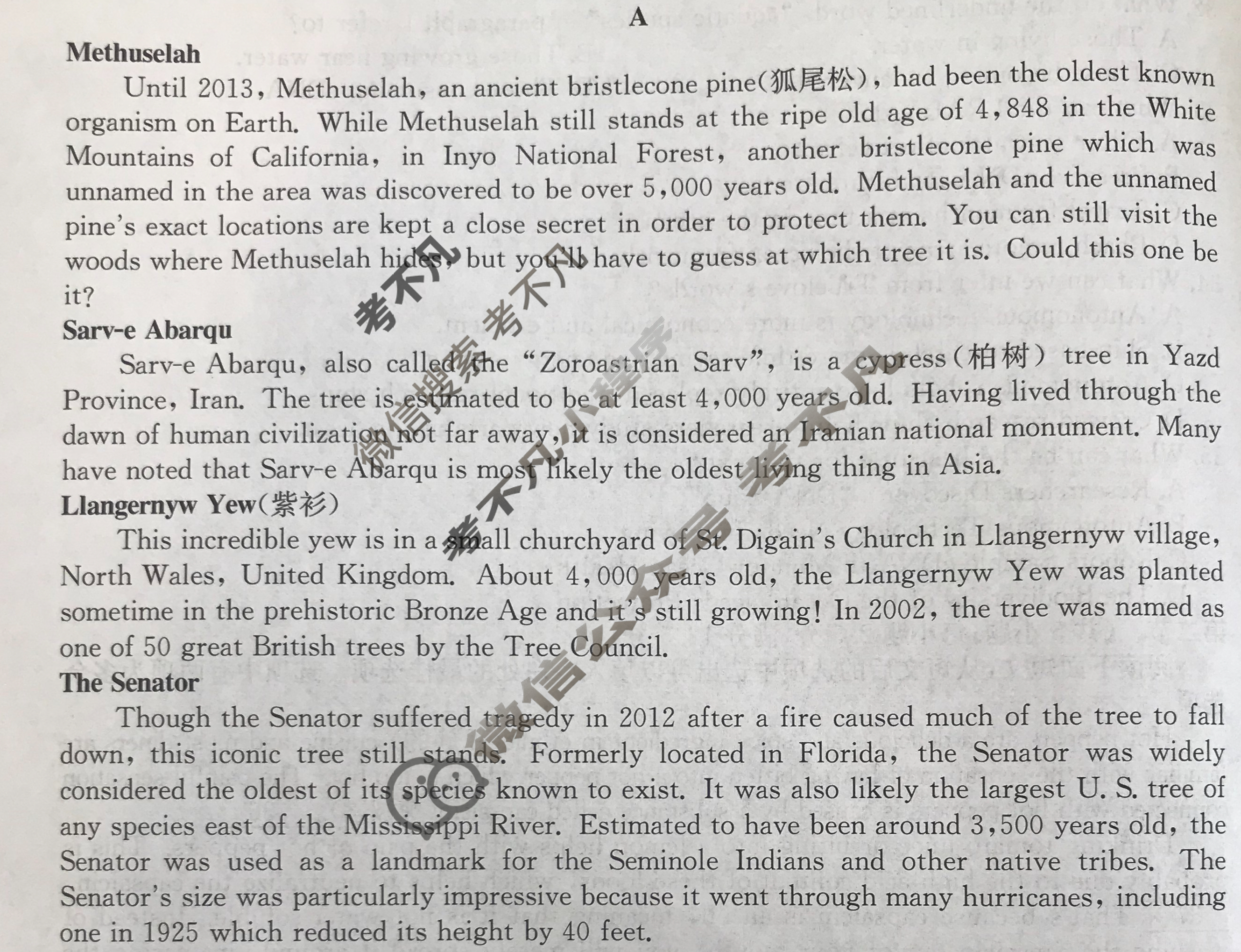 [百校名师]2024普通高中高考模拟信息卷(三)3英语X试题