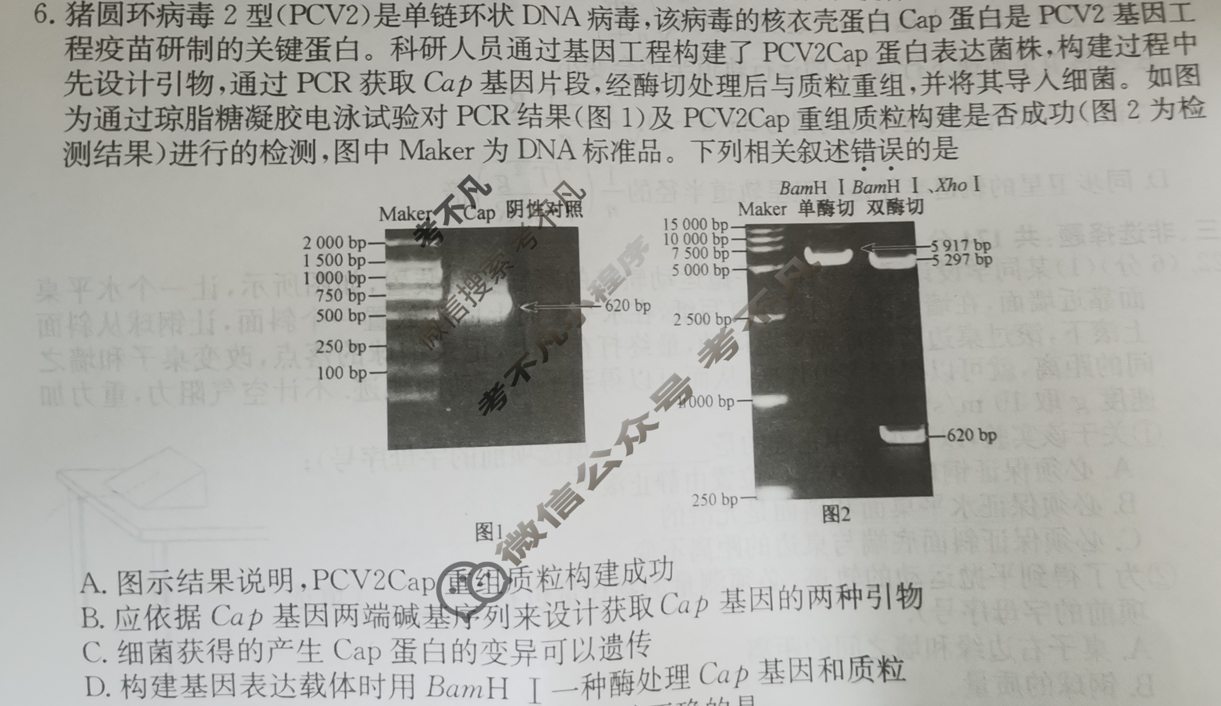 高三2024年全国高考冲刺压轴卷(三)3理科综合(新课标)试题
