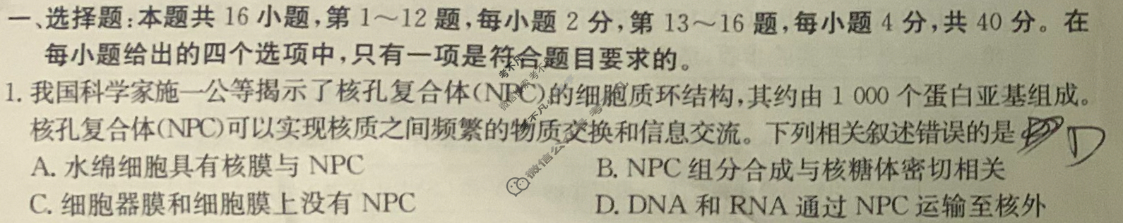 高三2024年普通高校招生选考科目考试仿真模拟卷(二)2生物(C N)试题