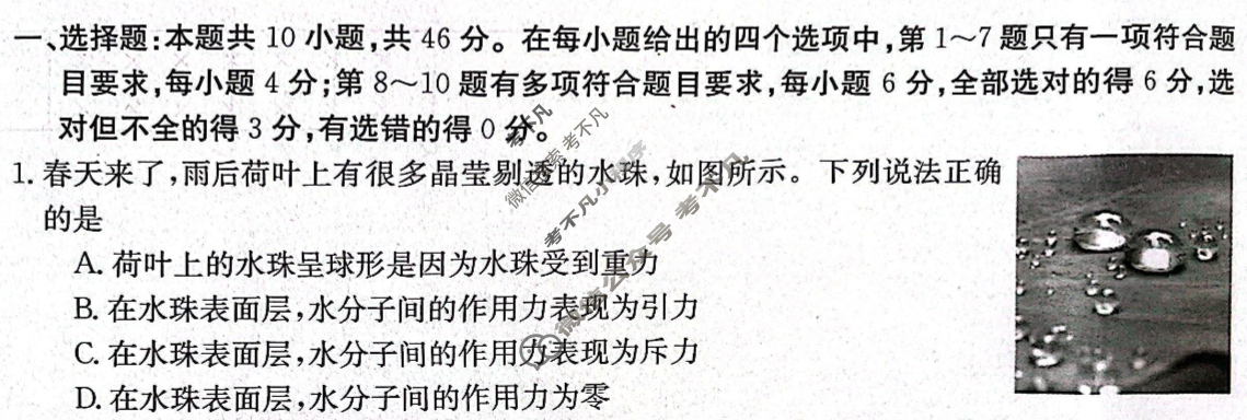 辽宁省高三年级金太阳2024年3月考试(24-380C)物理试题