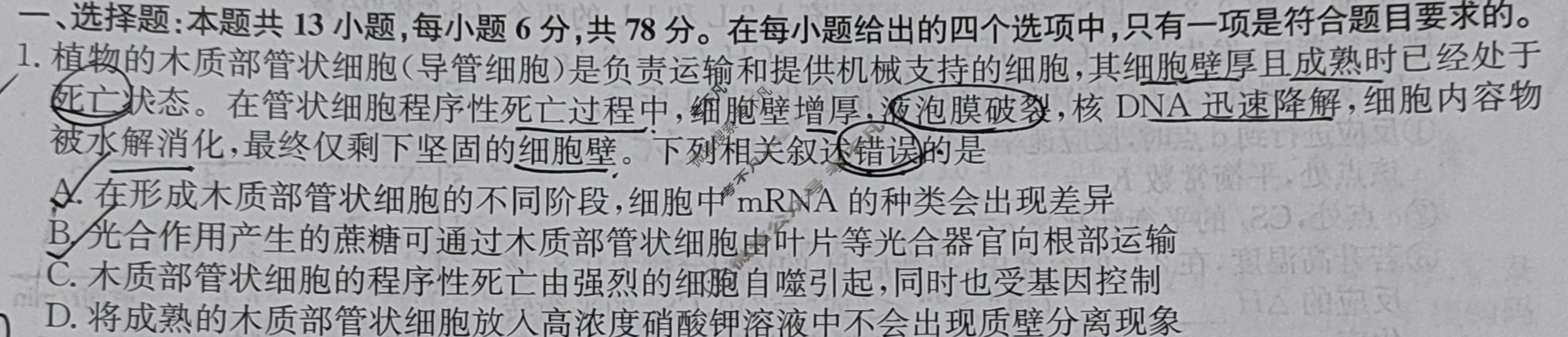 [九师联盟]2024届高三3月质量检测理综L试题