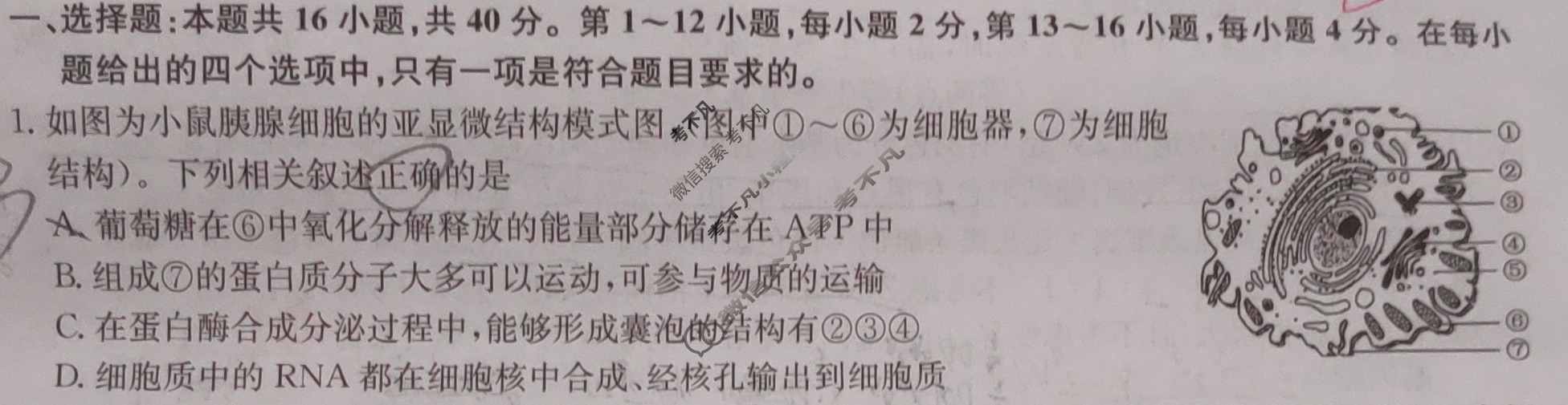 [九师联盟]2024届高三3月质量检测生物X试题