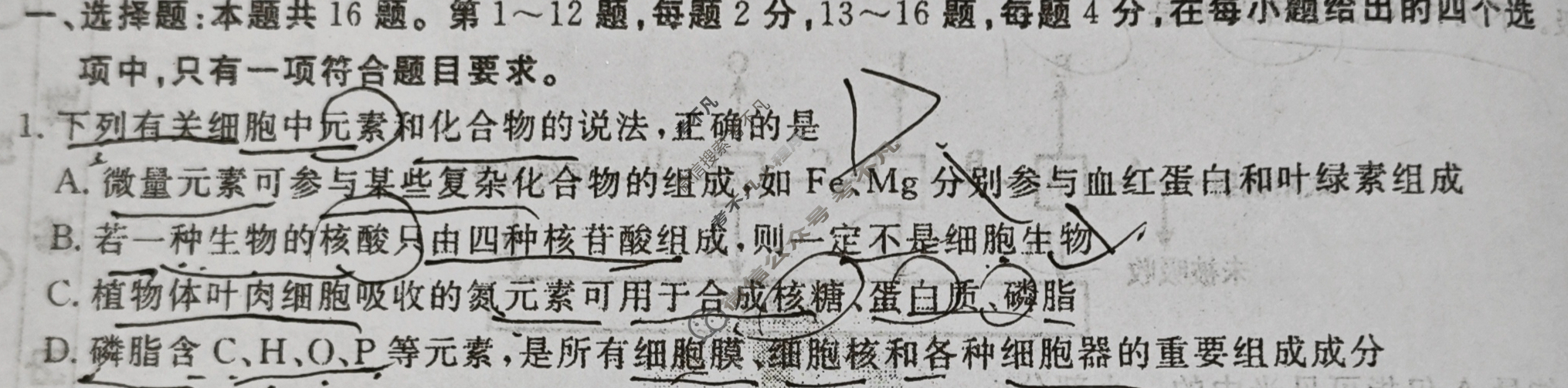 衡水金卷先享题(月考卷)2023-2024学年度下学期高三年级一调考试(新高考无角标)生物学试题