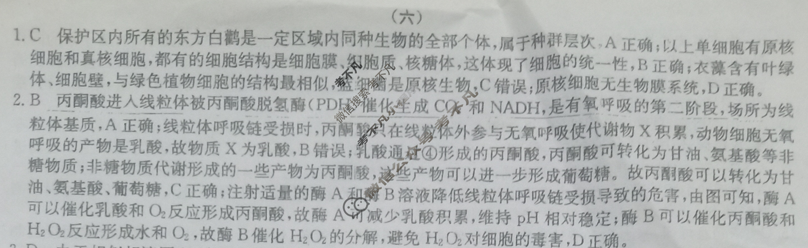 高三2024年普通高校招生选考科目考试仿真模拟卷(六)6生物(C N)答案