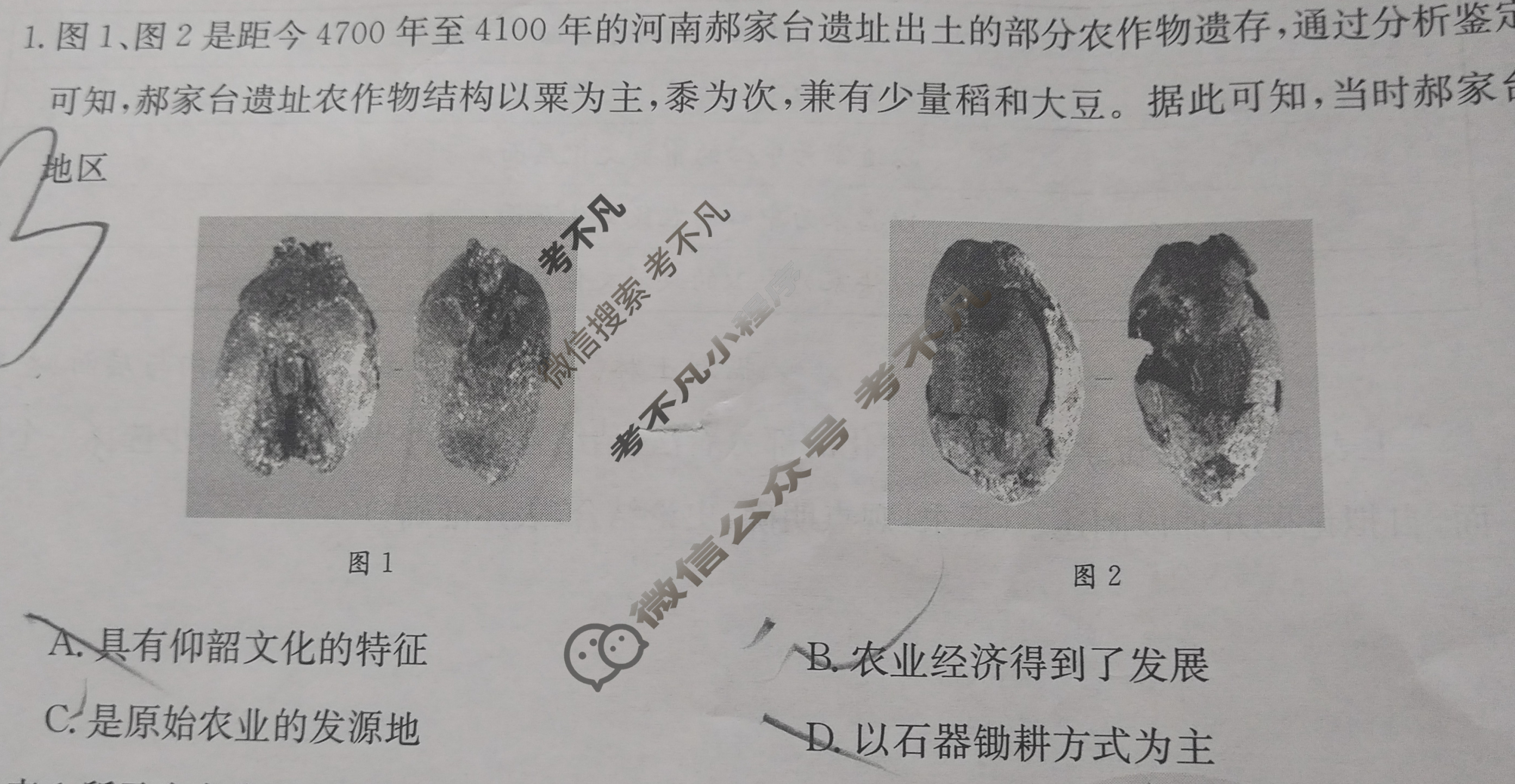 黑吉辽2023-2024学年高三试卷3月金太阳百万联考(药水瓶)历史HJL试题