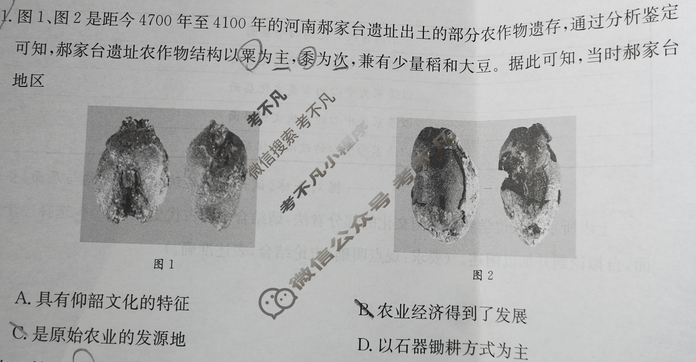 2023-2024学年河北省高三试卷3月百万联考(药水瓶)历史HEB试题