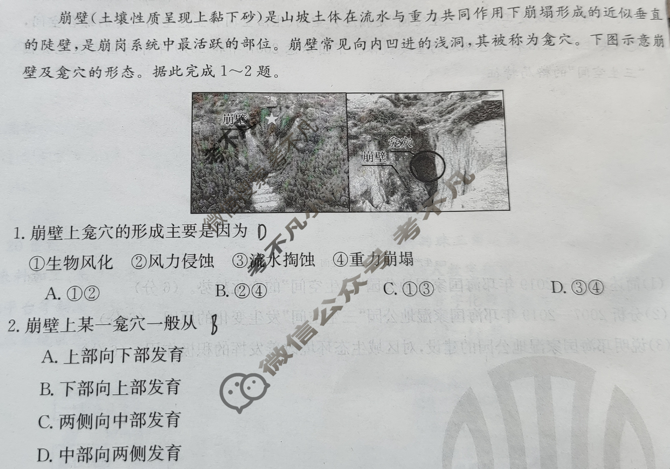 江西省景德镇金太阳2023-2024学年高二3月联考(24-381B)地理B2试题