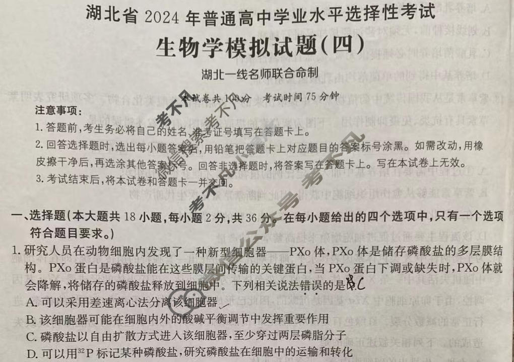 湖北省2024年普通高中学业水平选择性考试·生物学(四)4[24·(新高考)ZX·MNJ·生物学·HUB]试题