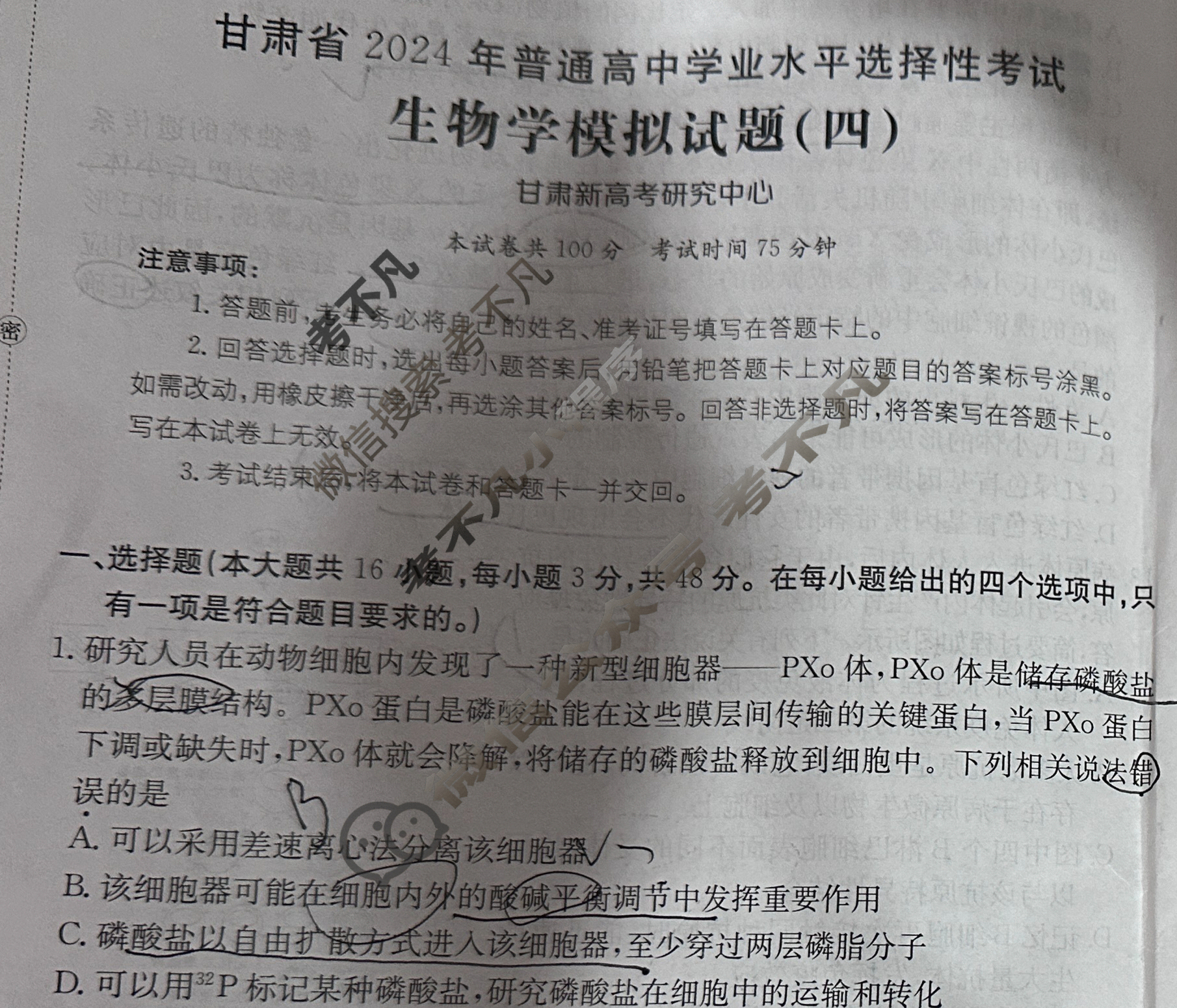 甘肃省2024年普通高中学业水平选择性考试·生物学(四)4[24·(新高考)ZX·MNJ·生物学·GS]试题