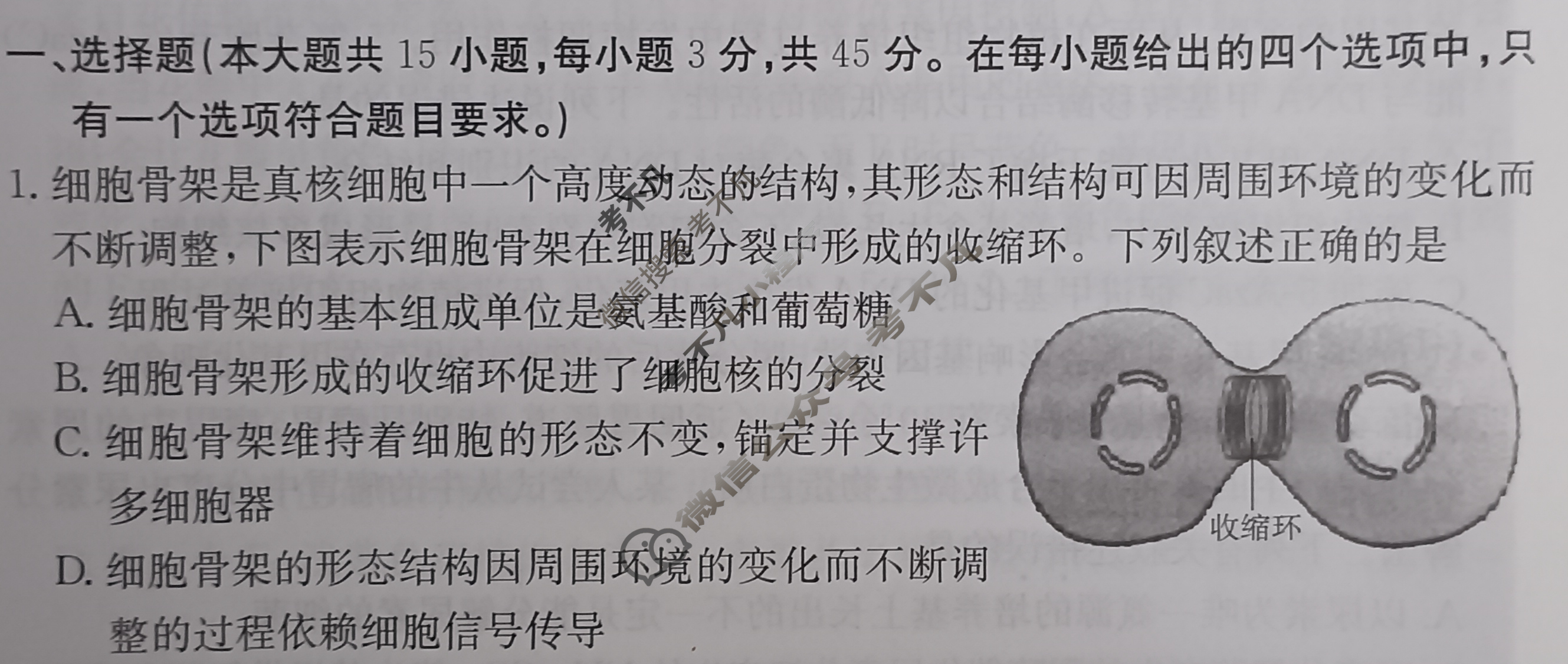 安徽省2024年普通高中学业水平选择性考试·生物学(六)6[24·(新高考)ZX·MNJ·生物学·AH*]试题