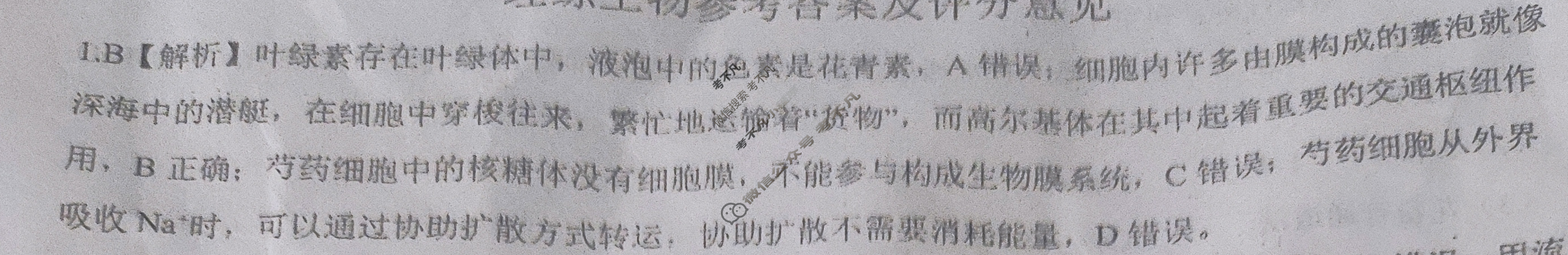 [百师联盟]2024届高三冲刺卷(五)5 新高考卷理科综合(新教材)答案