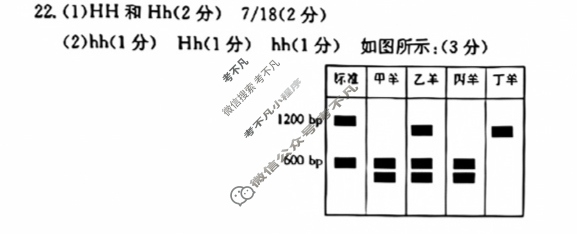 山东省金太阳2023-2024学年高一质量检测联合调考(24-401A)生物答案