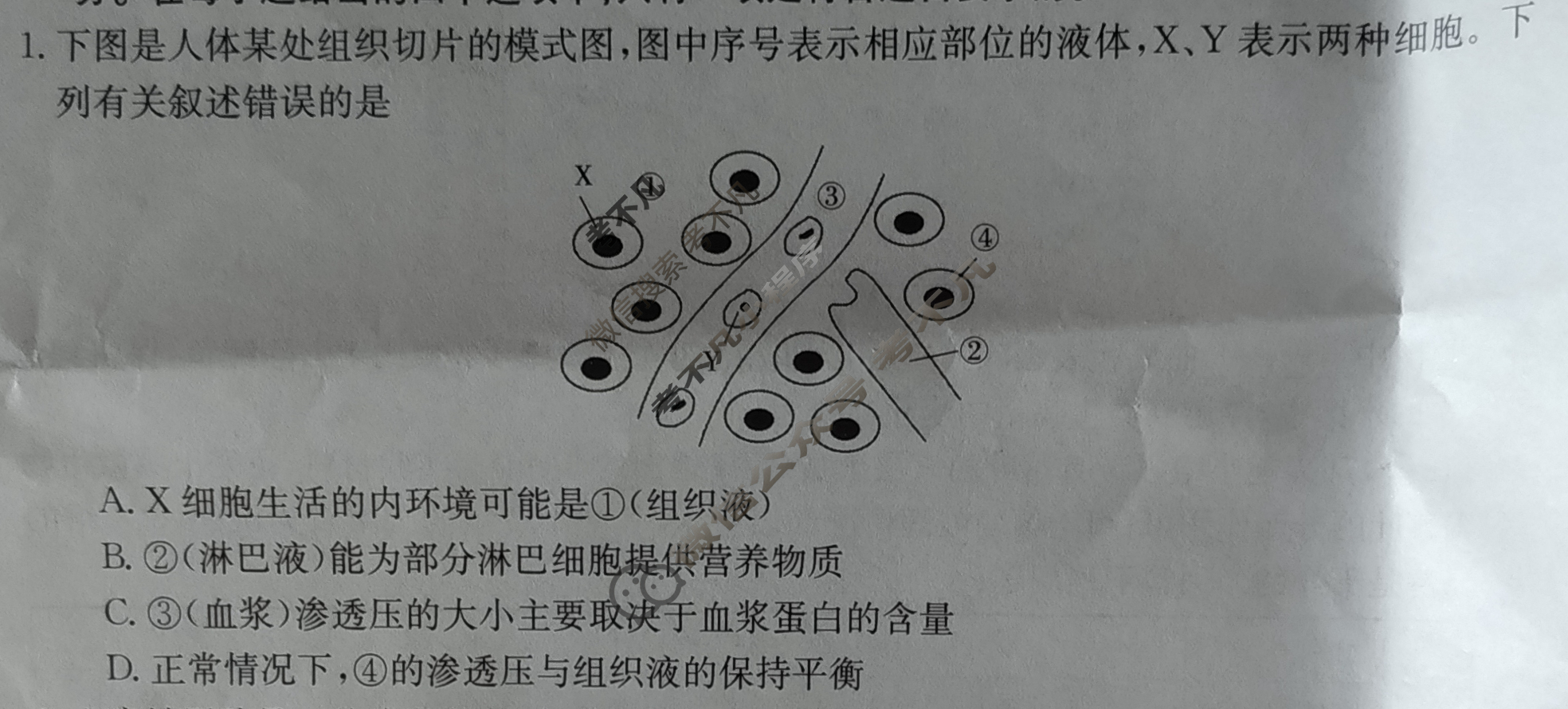 金太阳2023-2024学年高二4月联考(24-382B)生物试题
