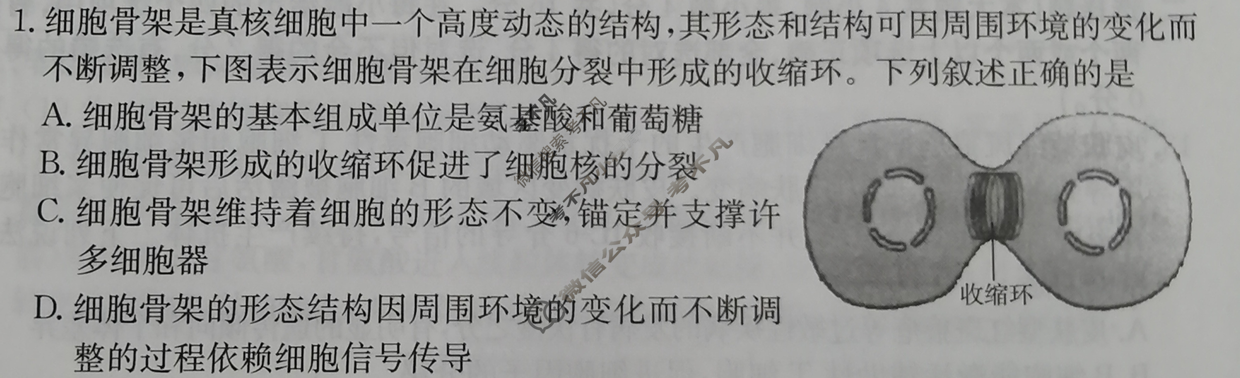 江西省2024年普通高中学业水平选择性考试·生物学(六)6[24·(新高考)ZX·MNJ·生物学·JX]试题