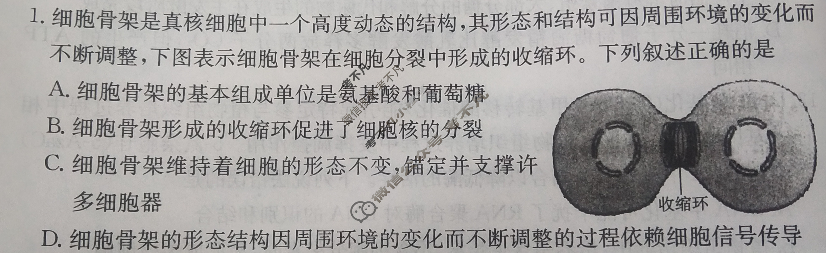 甘肃省2024年普通高中学业水平选择性考试·生物学(六)6[24·(新高考)ZX·MNJ·生物学·GS]试题