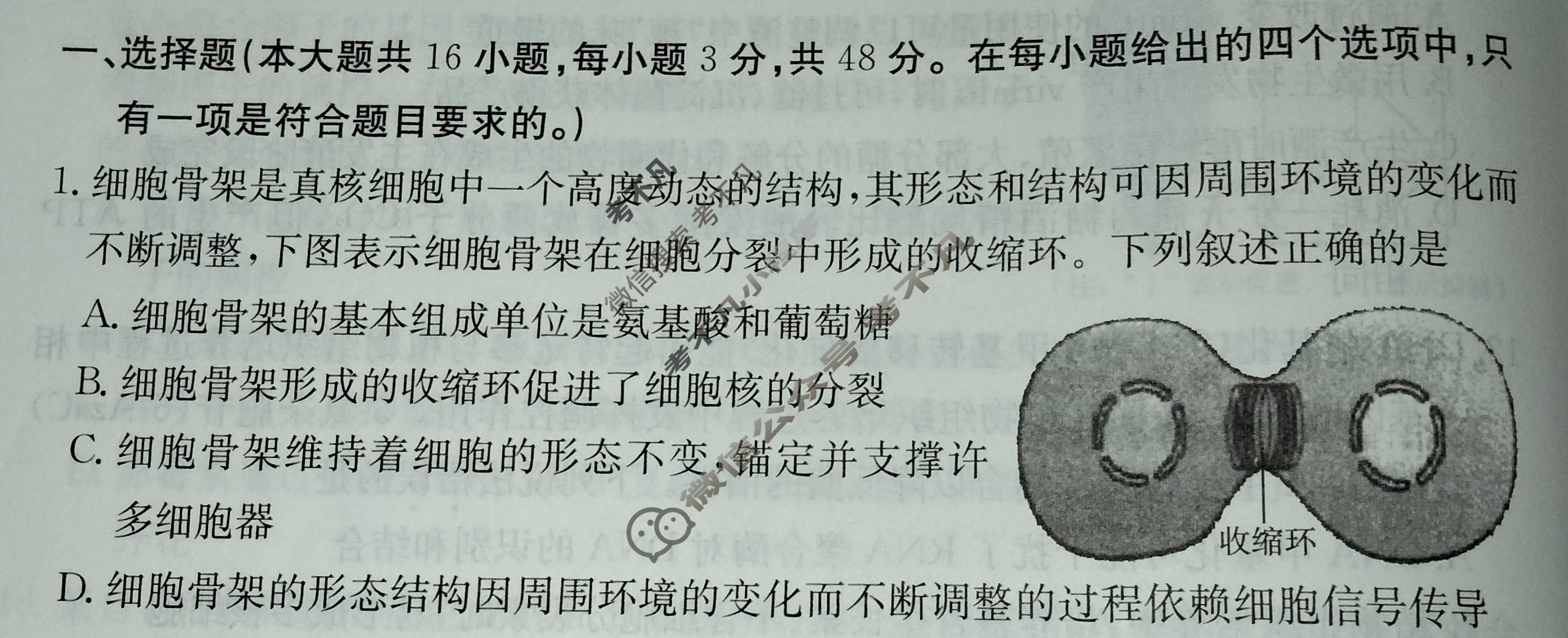 贵州省2024年普通高中学业水平选择性考试·生物学(六)6[24·(新高考)ZX·MNJ·生物学·GZ]试题