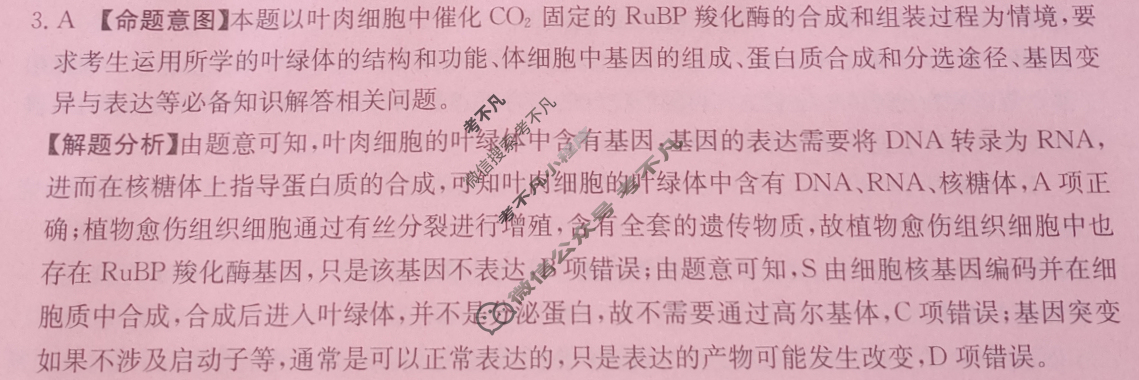 广东省2024年普通高中学业水平选择性考试·生物学(八)8[24·(新高考)ZX·MNJ·生物学·G DONG]答案