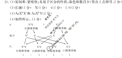 金太阳高一年级3月27-28日联合考试(24-410A)生物答案