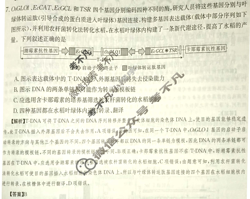 2024年高三第一轮复习周测卷[24·G3ZCJ(新高考)·生物学-R-必考-QGB]生物(二十七)27答案