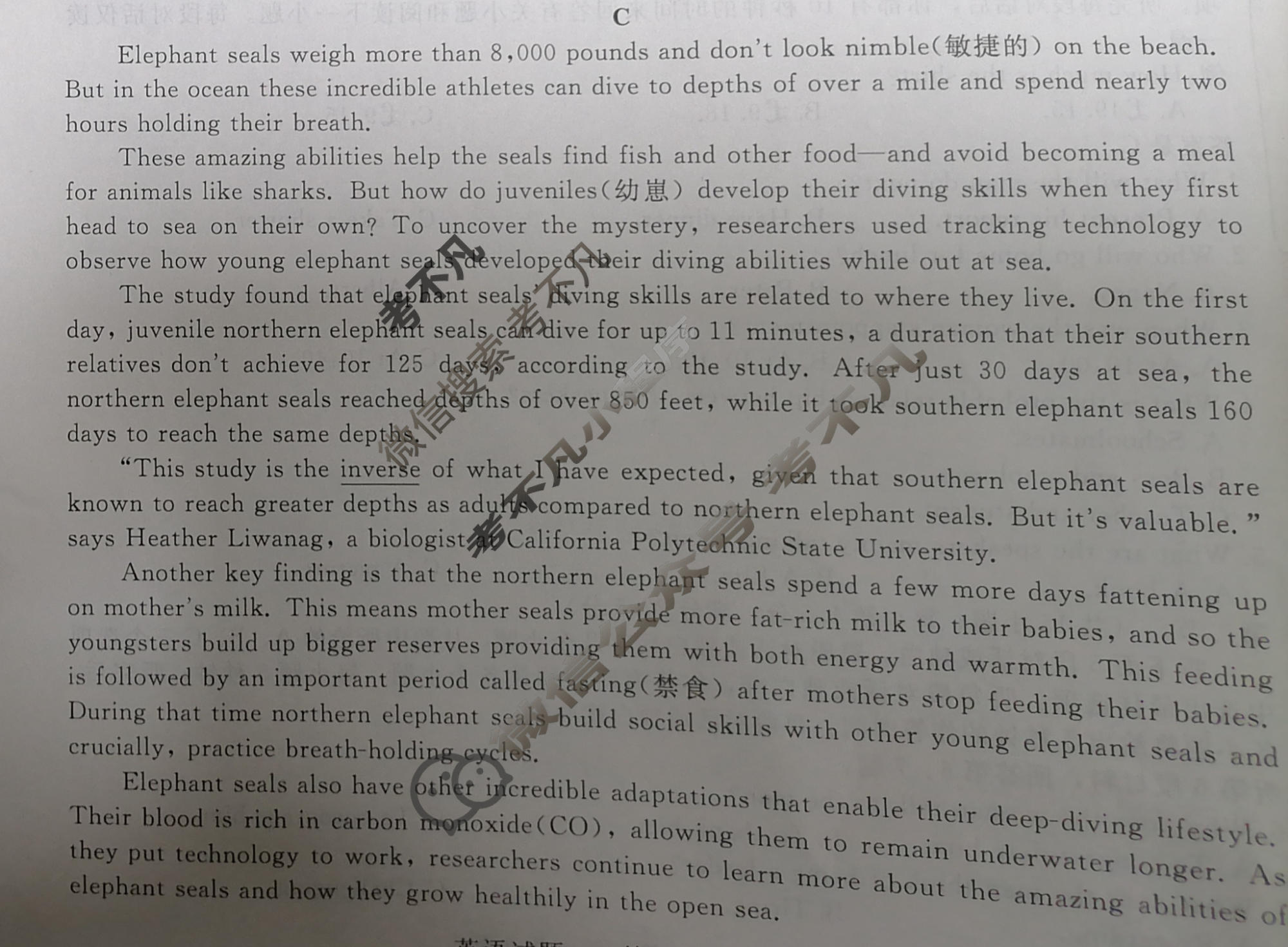 高三2024届普通高等学校招生全国统一考试 青桐鸣冲刺卷一英语试题