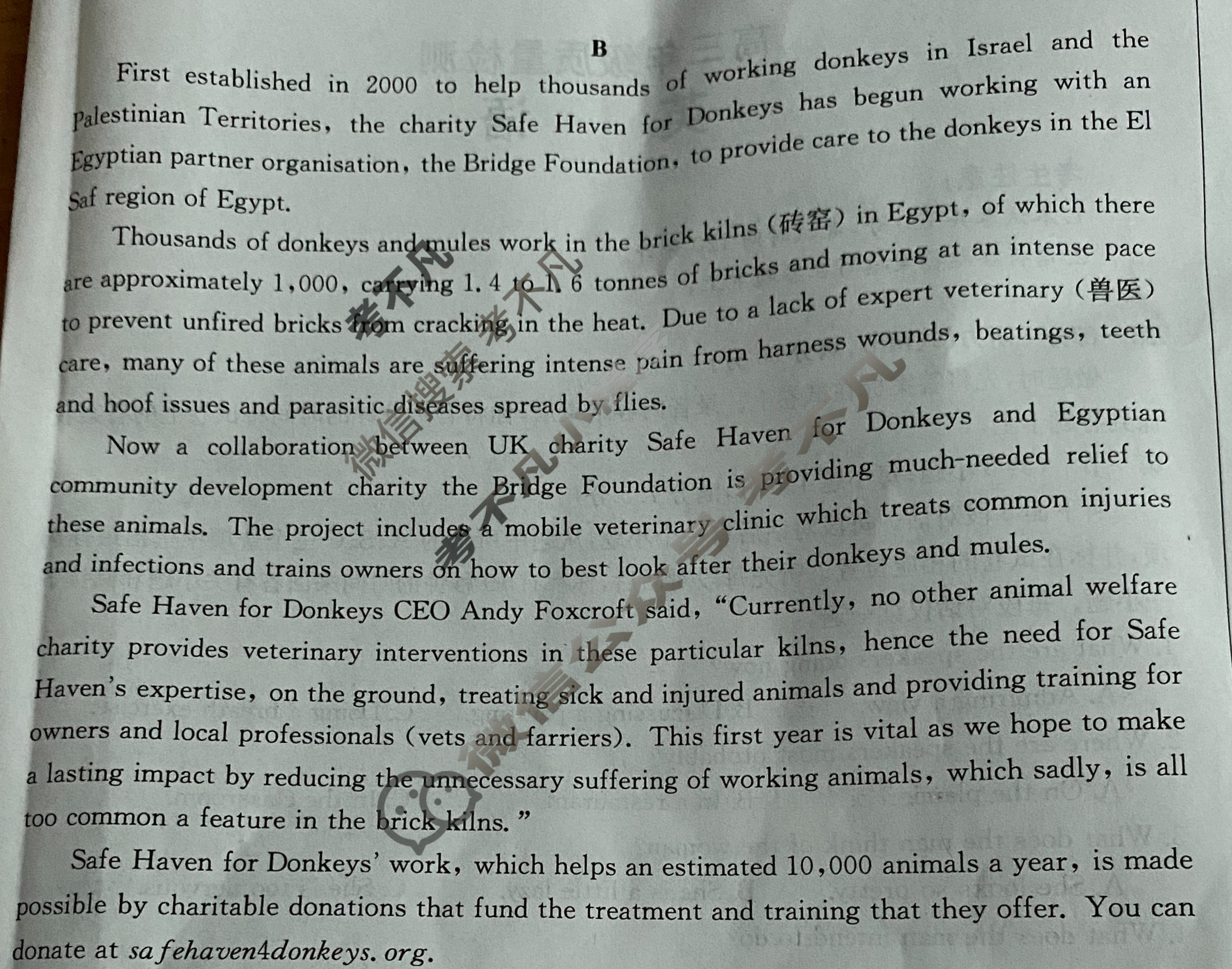 陕西省金太阳2024届高三年级质量检测(♨)英语试题