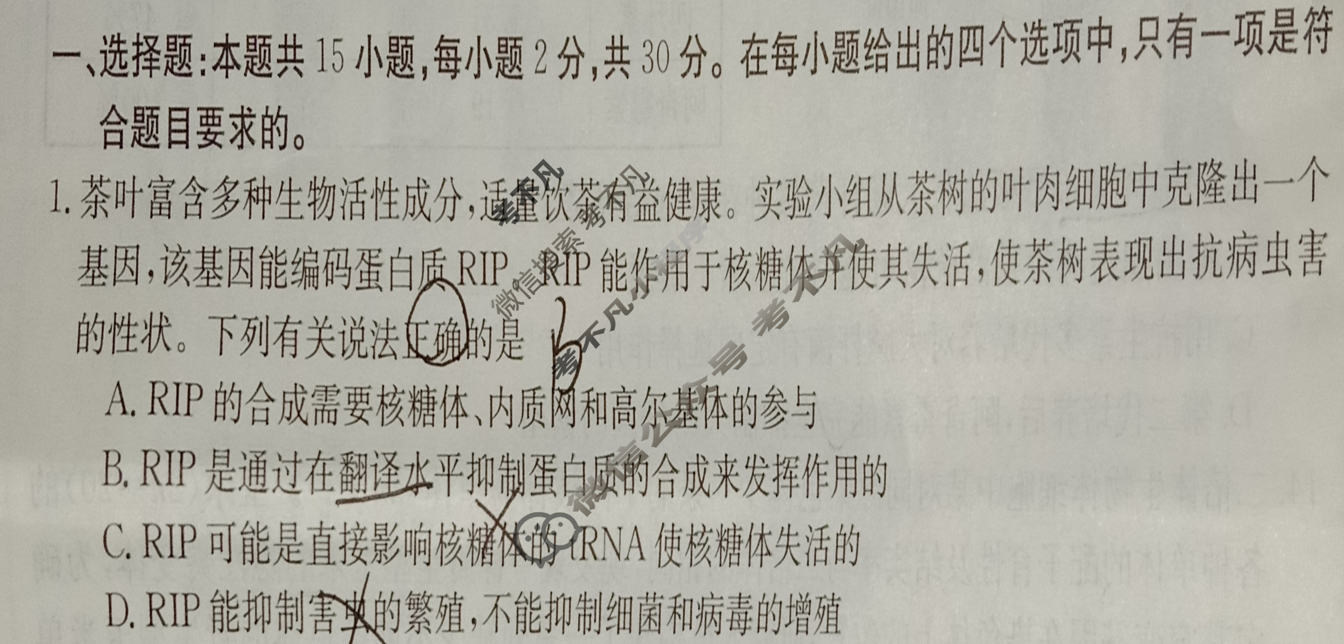 山东省金太阳2024届高三4月联考(24-411C)生物试题