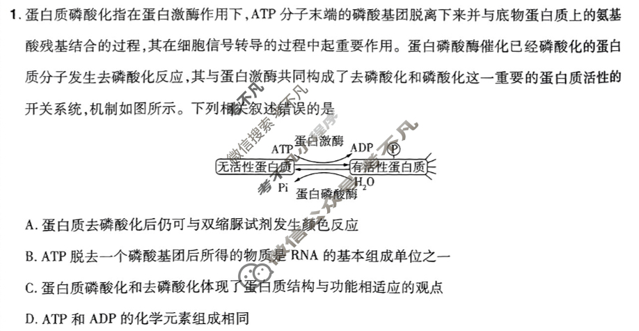 [金考卷·百校联盟]2024年普通高等学校招生全国统一考试 押题卷(六)6理科综合(新教材)试题