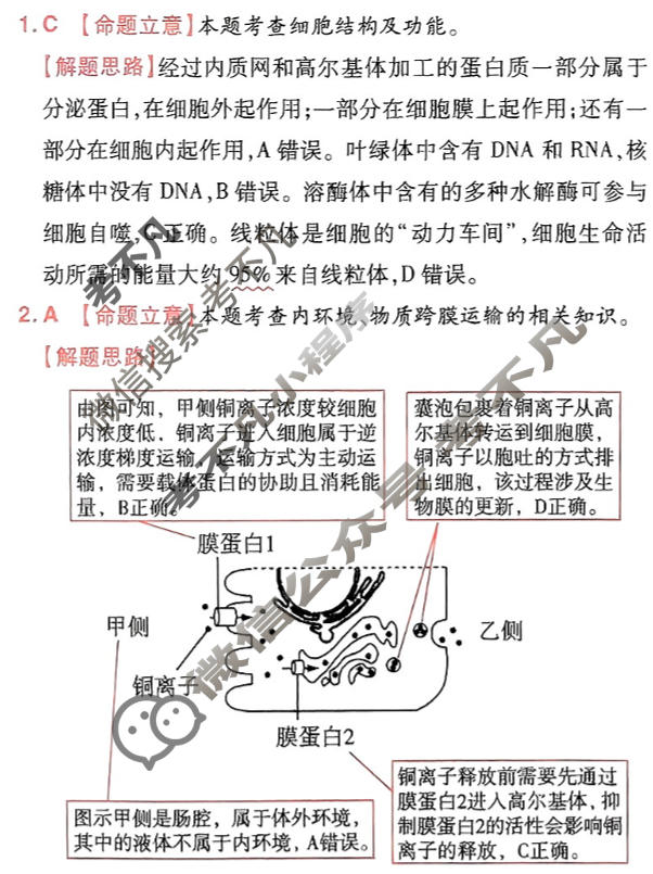 [金考卷·百校联盟]2024年普通高等学校招生全国统一考试 押题卷(二)2理科综合(新教材)答案