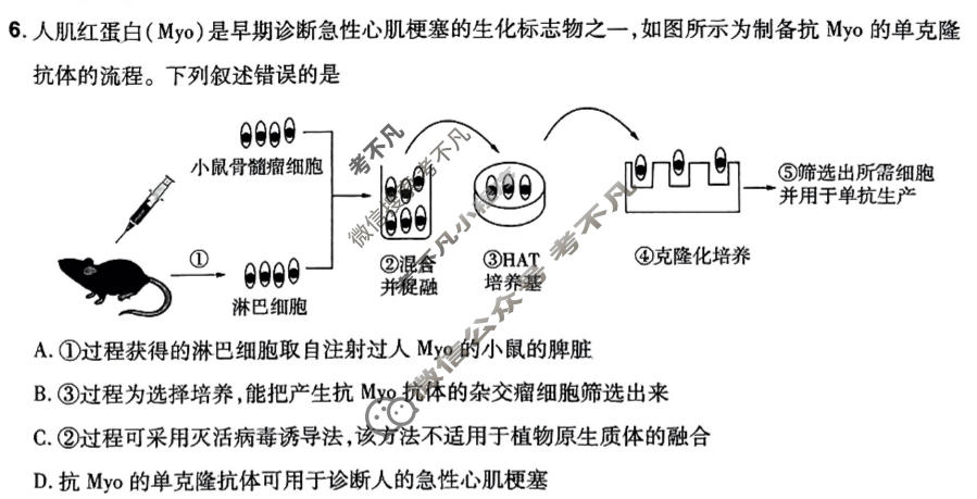 [金考卷·百校联盟]2024年普通高等学校招生全国统一考试 押题卷(五)5生物(新教材)试题