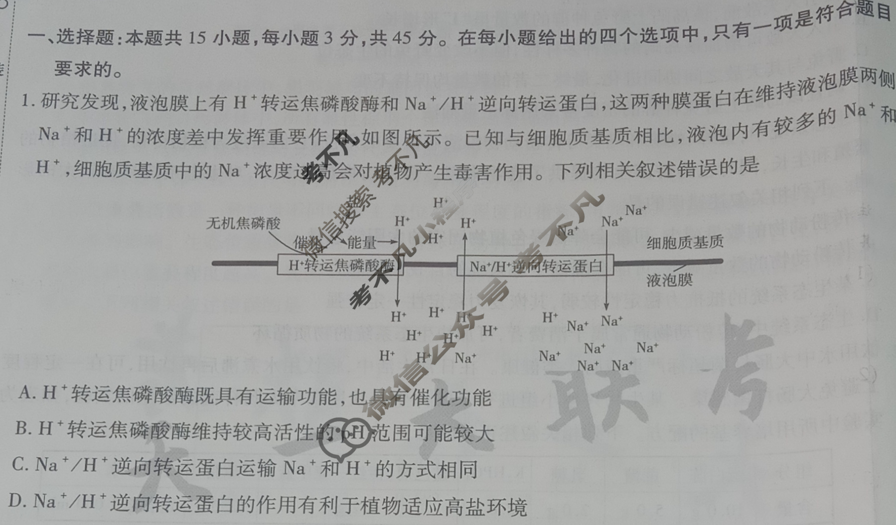 [天一大联考]高三2024届高考全真冲刺卷(二)2生物(安徽专版)试题