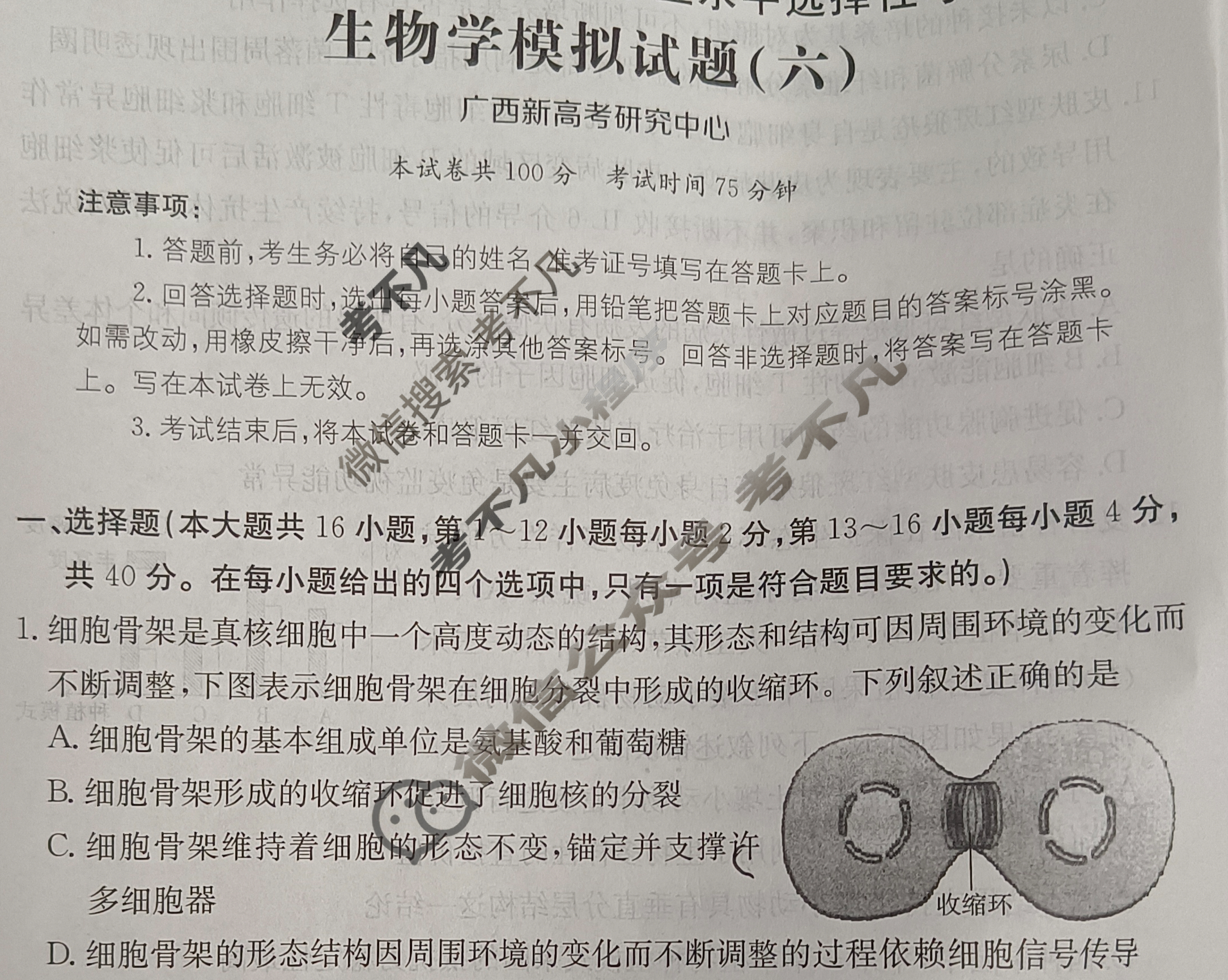 广西省2024年普通高中学业水平选择性考试·生物学(六)6[24·(新高考)ZX·MNJ·生物学·GX]试题