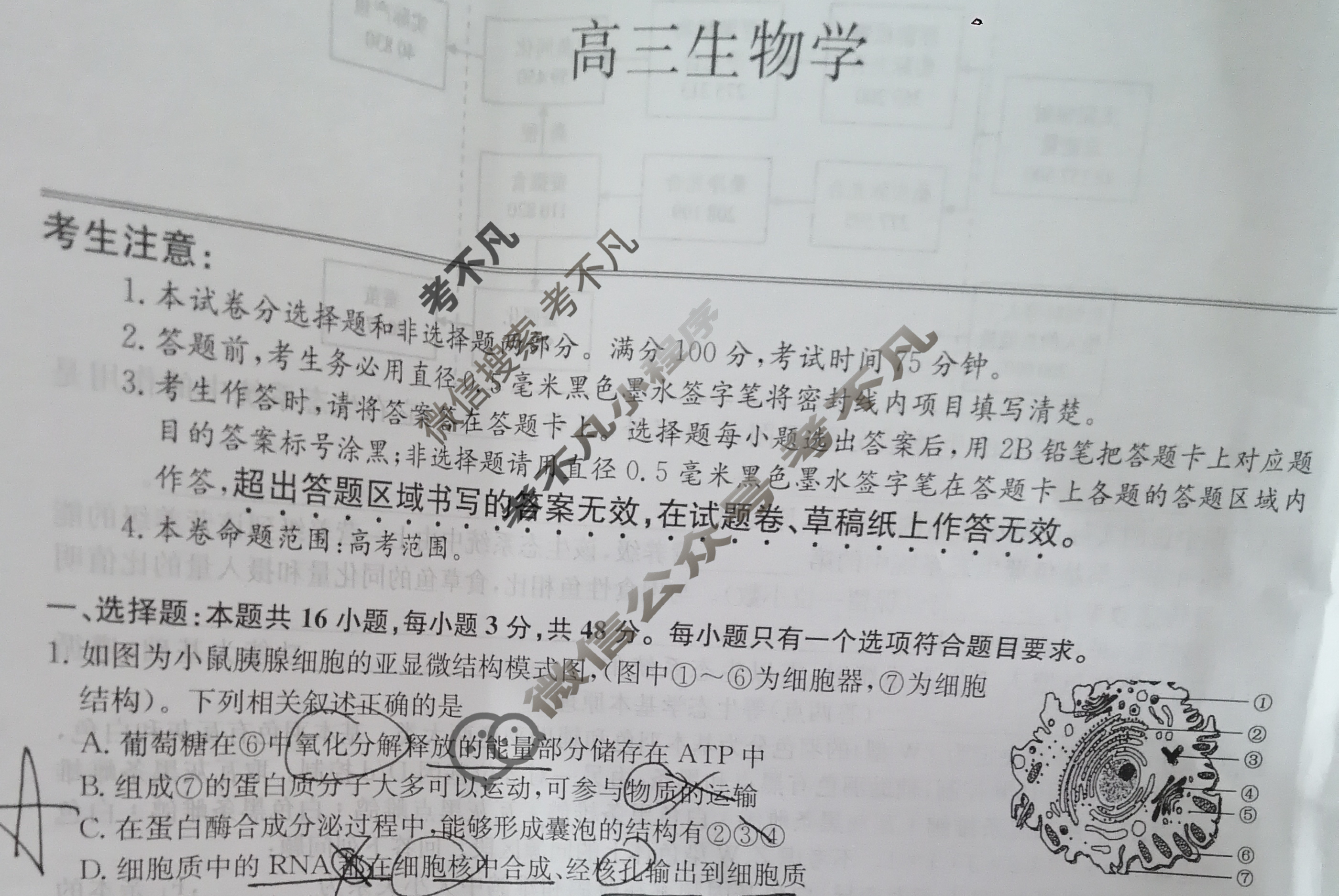 [九师联盟]2024届高三3月质量检测生物LY试题