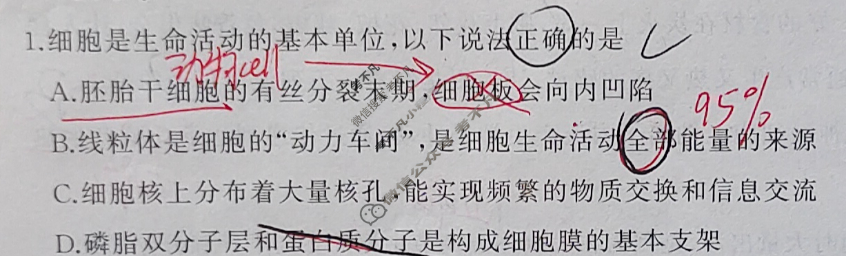 [百师联盟]2024届高三冲刺卷(一)1生物(百A)试题