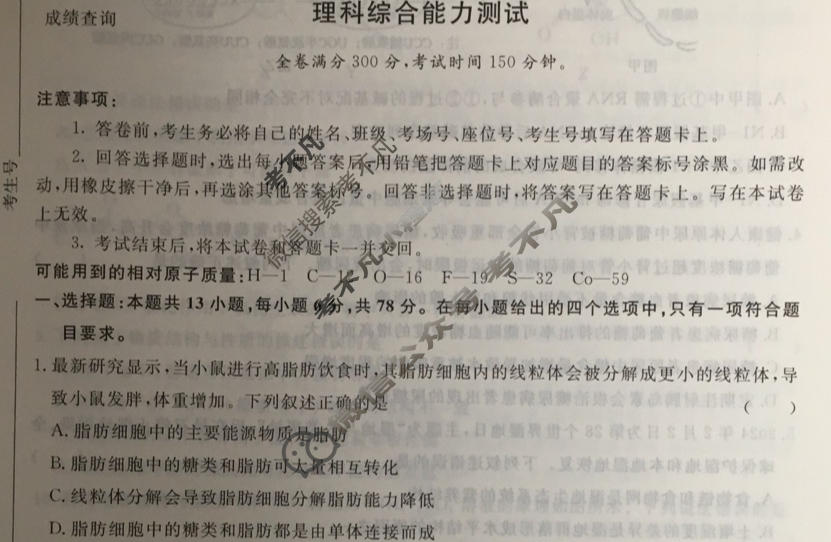 高三2024届普通高等学校招生全国统一考试 青桐鸣冲刺卷二理科综合试题