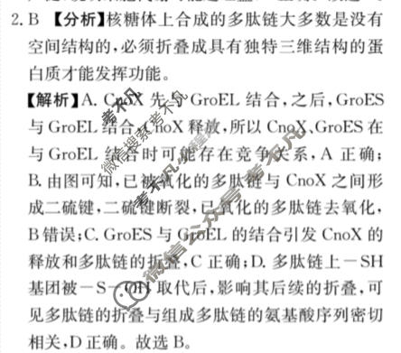 [荟聚名师智育英才]2024年普通高等学校招生全国统一考试模拟试题 冲刺卷(二)2生物(新教材C)答案