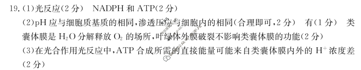 金太阳邯郸市2024届高三年级第四次调研监测(24-385C)生物答案