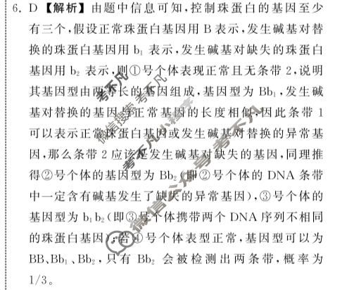 [衡中同卷]2023-2024学年度下学期高三年级四调考试[新教材版]生物学答案