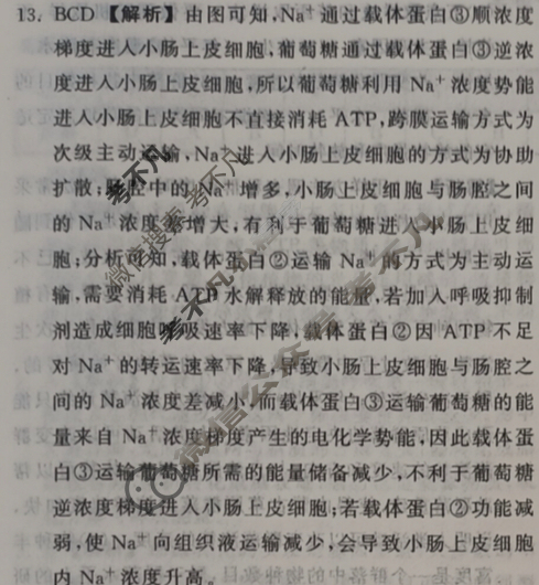 [衡中同卷]2024届 信息卷[新教材版X]生物(四)4答案