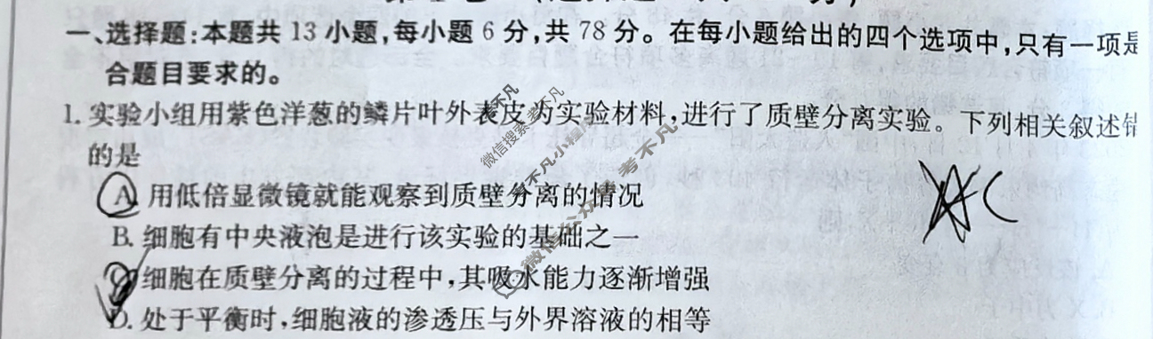 内蒙古省金太阳2024届高三4月联考(正方形包菱形)理科综合试题
