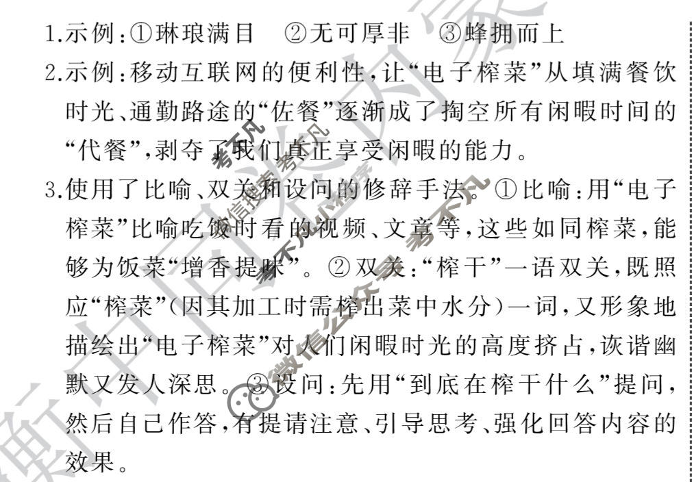 衡中同卷 2023-2024学年度高考总复习专题卷[全国版]语文(十一)11答案