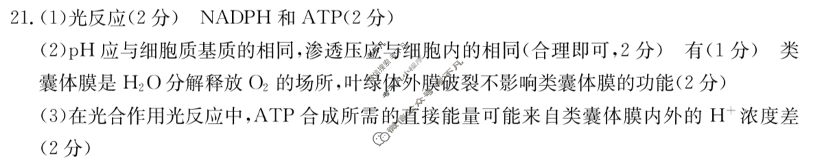 辽宁省金太阳2024届高三4月联考(24-404C)生物答案