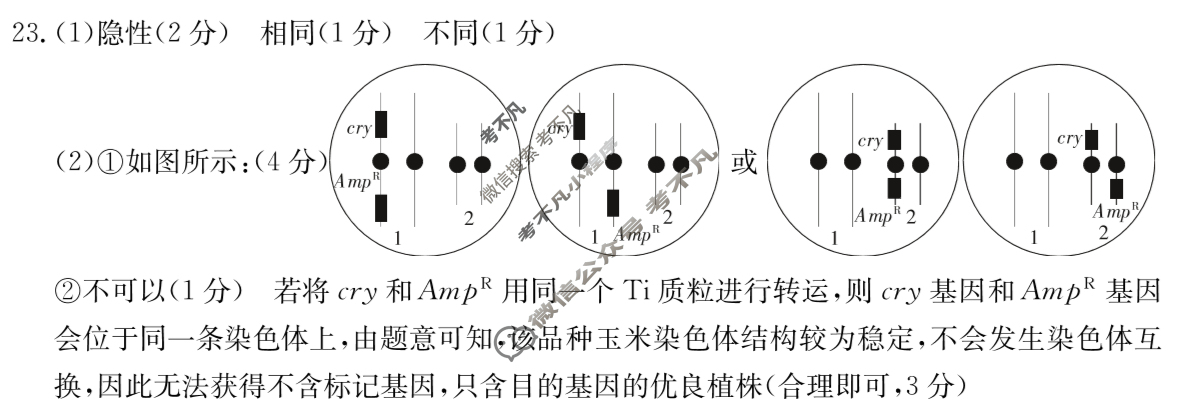 河北省2024届高三金太阳4月联考(24-448C)生物答案