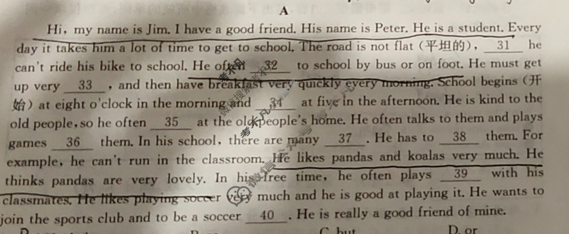 安徽省2023~2024学年度七年级教学素养测评[✰R-AH]英语试题