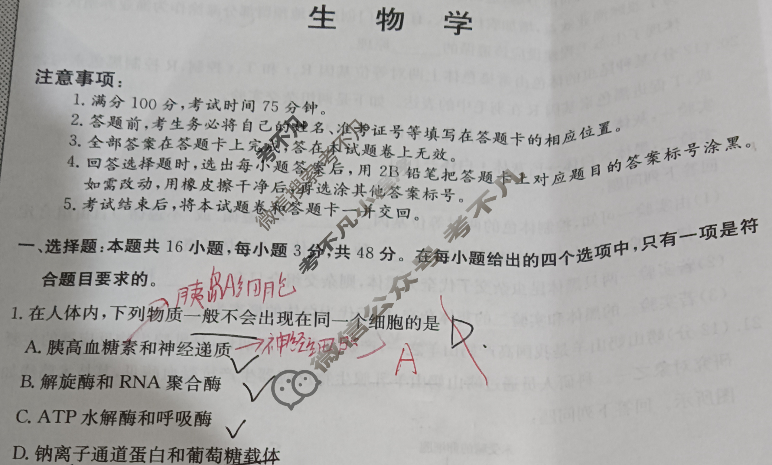 高三2024年普通高校招生选考科目考试模拟调研卷(一)1生物AY试题