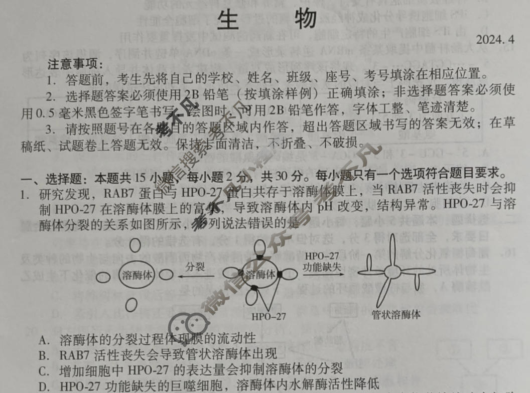 山东省2024届潍坊市高考模拟考试(潍坊二模)生物试题