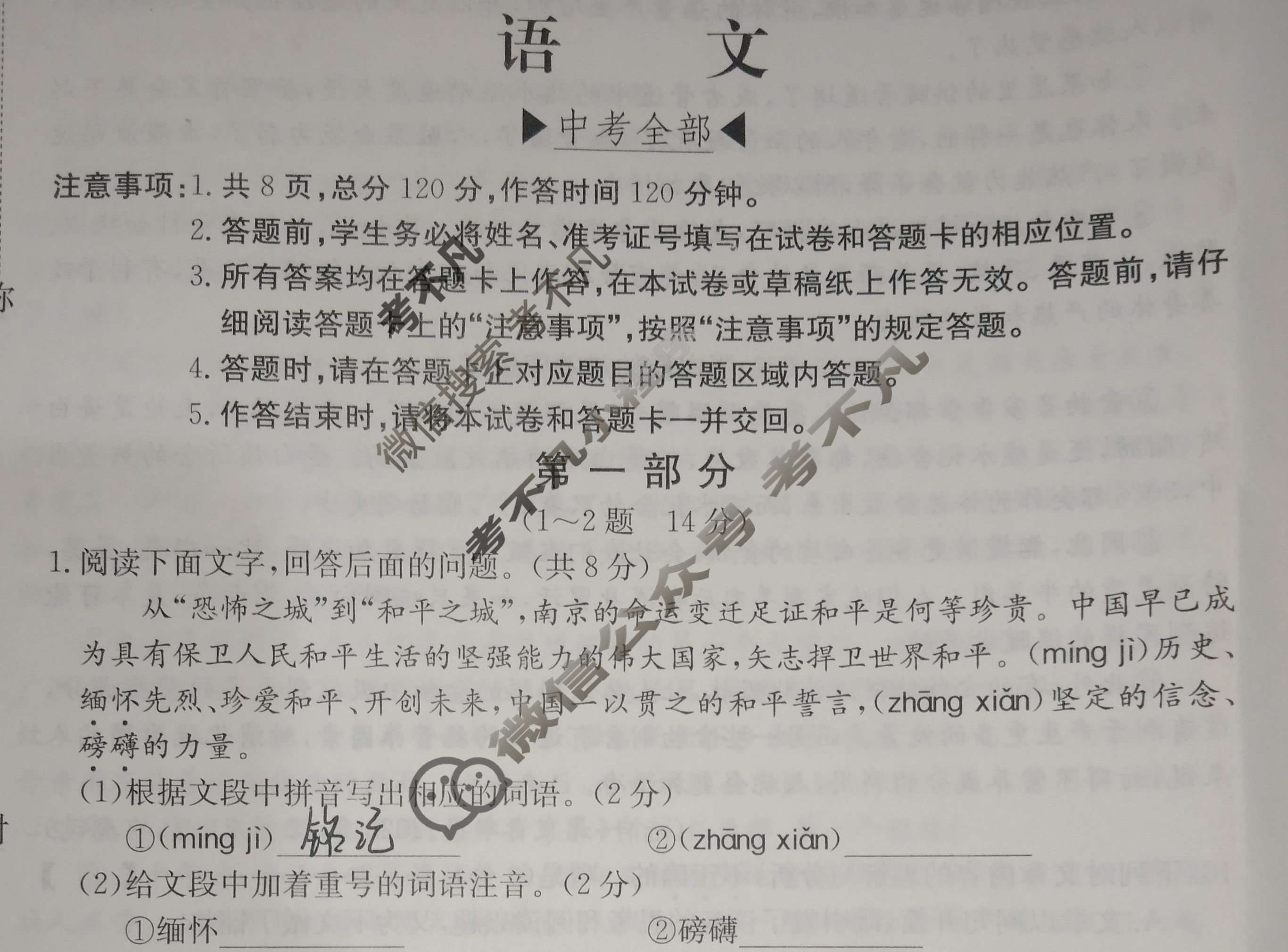 河北省2024届九年级考前适应性评估(三)[7L R]语文试题