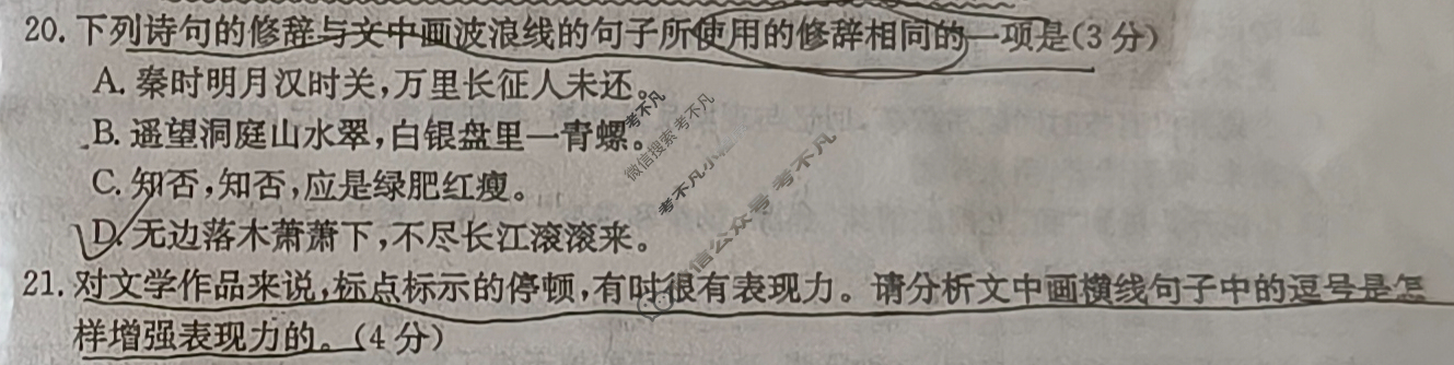 金太阳2024届云南省高三4月联考(24-436C)语文试题